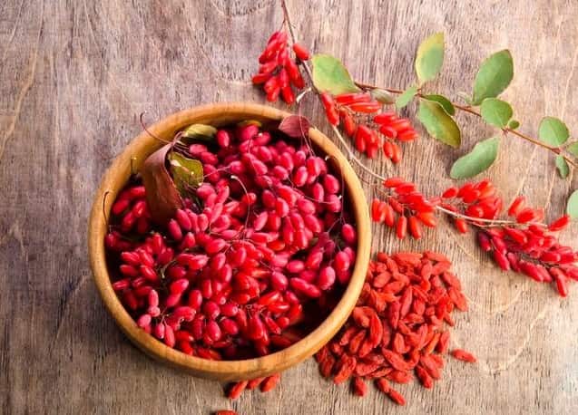 تصویر 1 از قیمت بهترین کنسانتره زرشک بیرجند+ خرید باور نکردنی